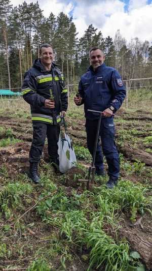 Zastępca Komendanta Powiatowego Policji w Gołdapi podczas akcji sadzenia drzew