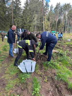 Zastępca Komendanta Powiatowego Policji w Gołdapi podczas akcji sadzenia drzew