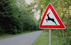 Znak Uwaga zwierzyna leśna